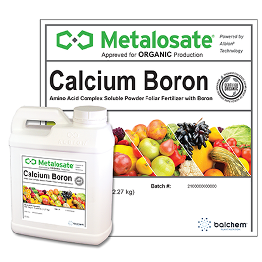 Amino-Chelated Calcium/Boron