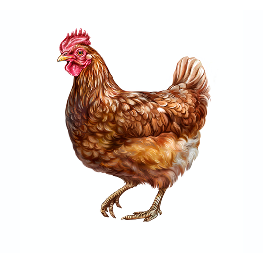 Granular Poultry